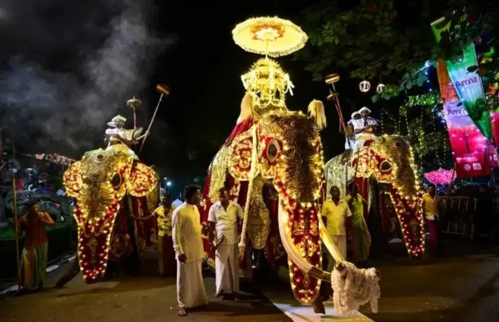 elephants-at-asala-perahara