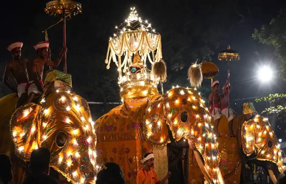 sacred-tooth-relic-with